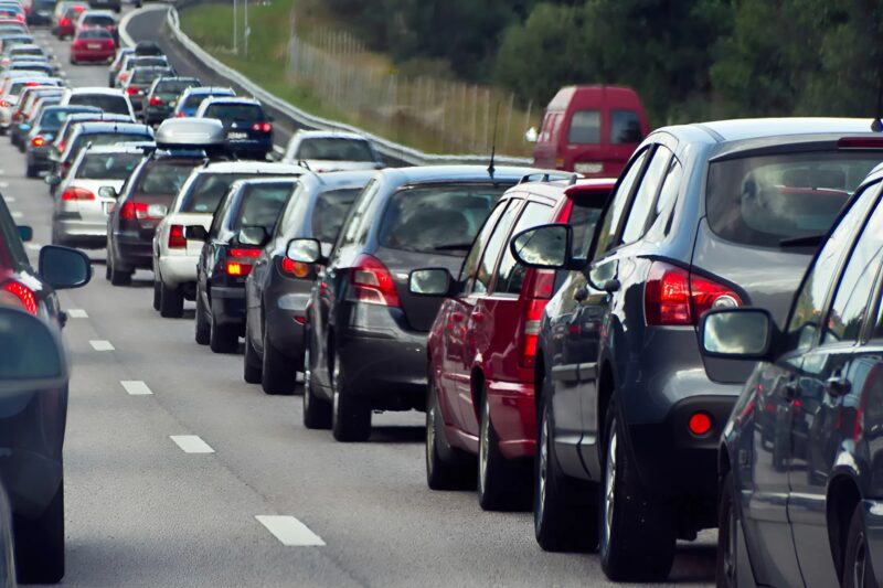 Ένα τεράστιο αλμπάι κειτόταν ακριβώς στη μέση του δρόμου και εμπόδιζε την κυκλοφορία, προκαλώντας μποτιλιάρισμα: ένας από τους οδηγούς πλησίασε και είδε κάτι φρικτό