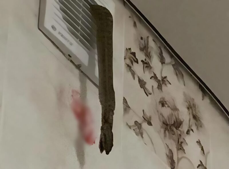 Σήμερα το πρωί κάτι κρεμόταν από τον αεραγωγό μου: πλησίασα για να δω τι είναι και πάγωσα από τον τρόμο