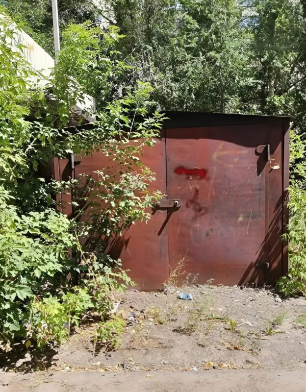 Κάθε βράδυ άκουγα παράξενους ήχους από το γκαράζ μας: όταν είδα με τι ασχολιόταν ο σύζυγός μου εκεί μέσα, έμεινα απλώς τρομοκρατημένη